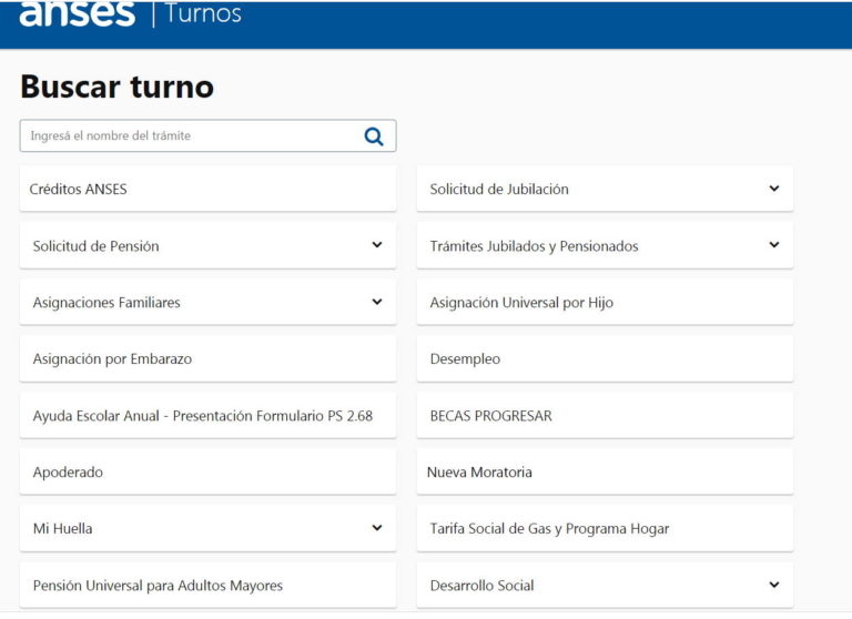 C Mo Sacar Turnos Para Anses Soporte Salta